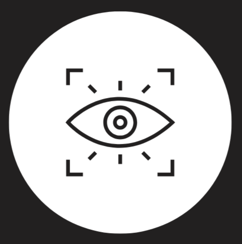 Brain And Vision