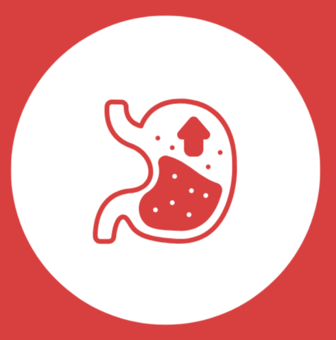 Gastric Health